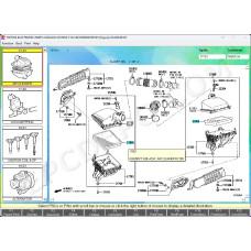 Toyota / Lexus / Scion USA Europe General Japan EPC parts catalog 01.2025