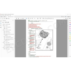 Skoda Scala 2019 - 2023 service manual