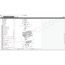 TOYOTA COROLLA 2013 - 2018 SERVICE & REPAIR MANUAL