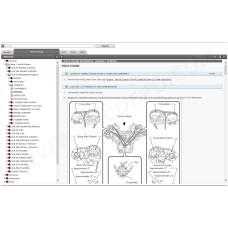 TOYOTA SEQUOIA 2015 - 2022 SERVICE & REPAIR MANUAL