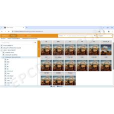 eTimGo offline CNH Agriculture & Construction service tool 02.2026