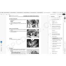 Komatsu Wheel Loader WA480-8 service & repair manual