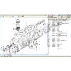 AGCO PARTS SPARE CATALOG + SERVICE & REPAIR 2021