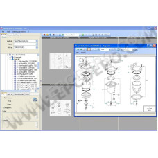 DELPHI DIRECT EVOLUTION 2009