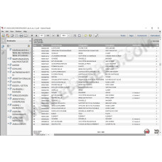 Wacker Neuson Skid Steer Loader EPC spare parts catalog