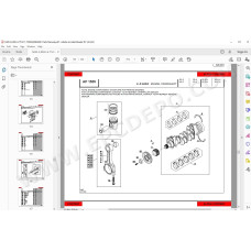 Manitou Forklift 30-2 30-4 H K-D HAWK parts manual