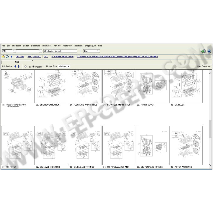 General Motors GM Holden New Zealand EPC parts catalog 2015